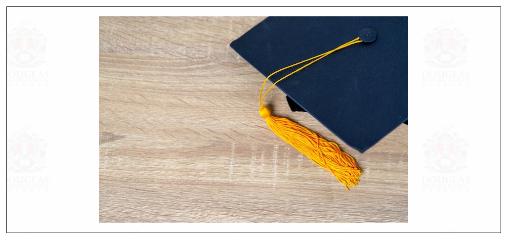 高级营销策略(MBA)硕士学位